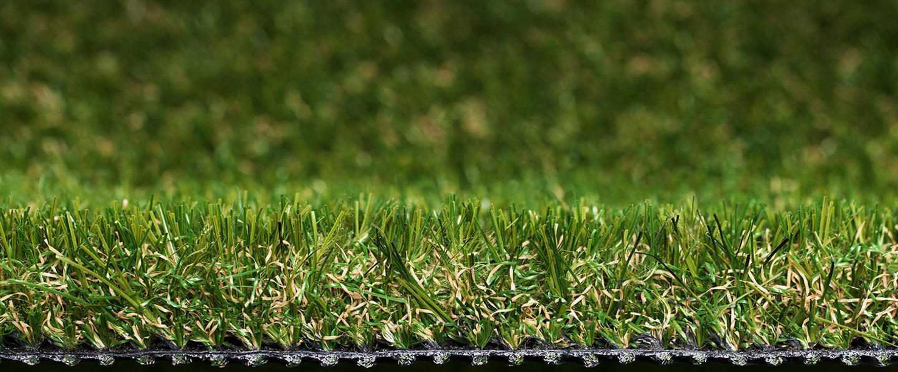 The grass is always greener on
your side of the fence